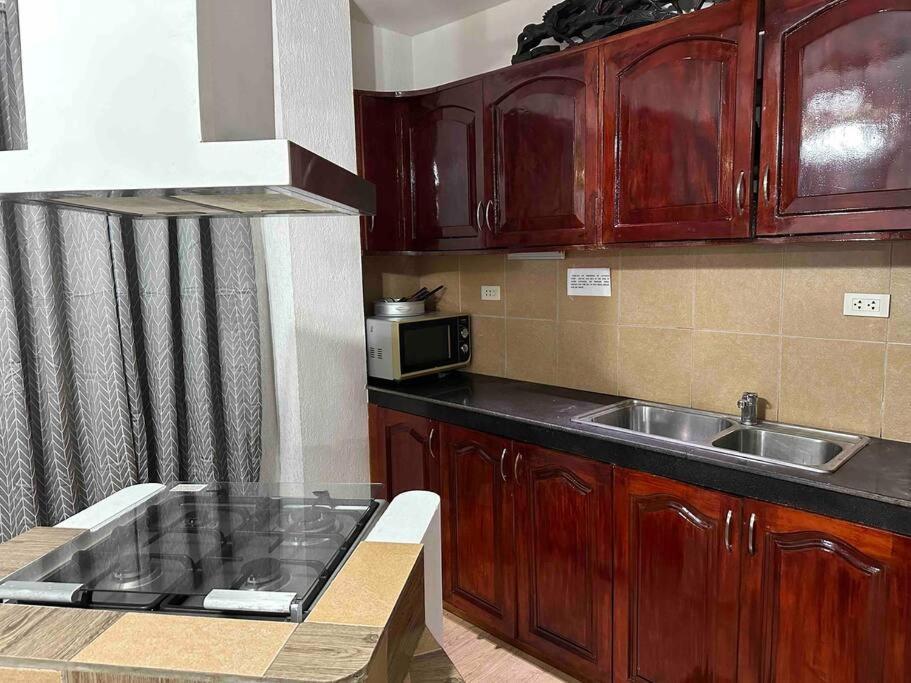 Alona Park Residence - 3 Bedroom Apartment- Alex And Jesa Unit Panglao Exteriör bild